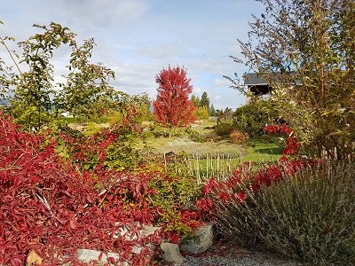 Okanagan Lavender & Herb Farm by null