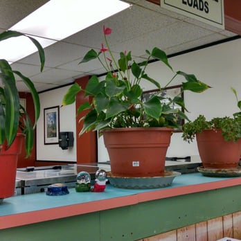 Cedar Glen Laundromat - Clean and nicely directed, almost like being at home. - Laundromat Near Me - Cedar Glen, California Cedar Glen Laundromat - Clean and nicely directed, almost like being at home. - Laundromat Near Me - Cedar Glen, California