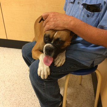 PetSmart Dog Training - Let's hope all goes well:) First day of school. - Pet Stores Near Me - Downey, California
