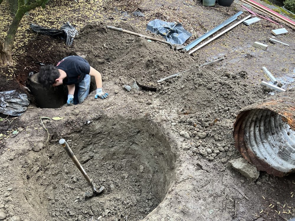 Slide of Septic Response