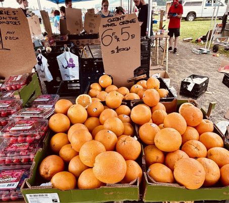 Stormville Airport Antique Show and Flea Market by null