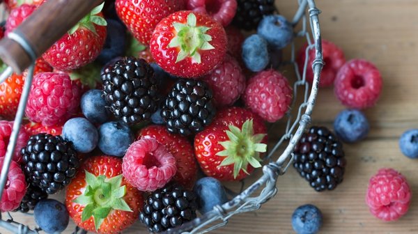 BIX Produce Company ( FreshPoint) by null