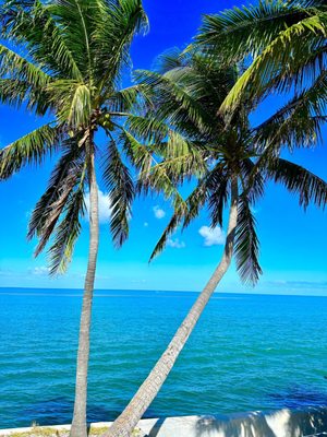 Seven Mile Bridge by null
