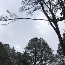 Pease Landclearing and Tree Removal - Branch hanging over my roof