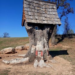 Lady Bird Johnson Municipal Park