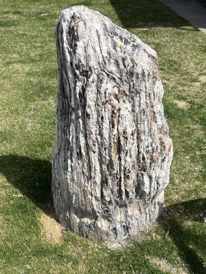 Sacajawea Hotel by null