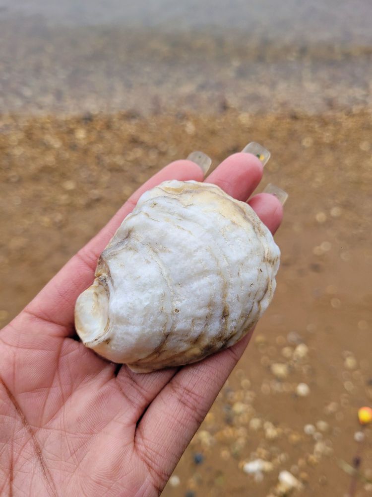 Elk Neck State Park Image