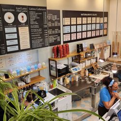 Bloom Gelato