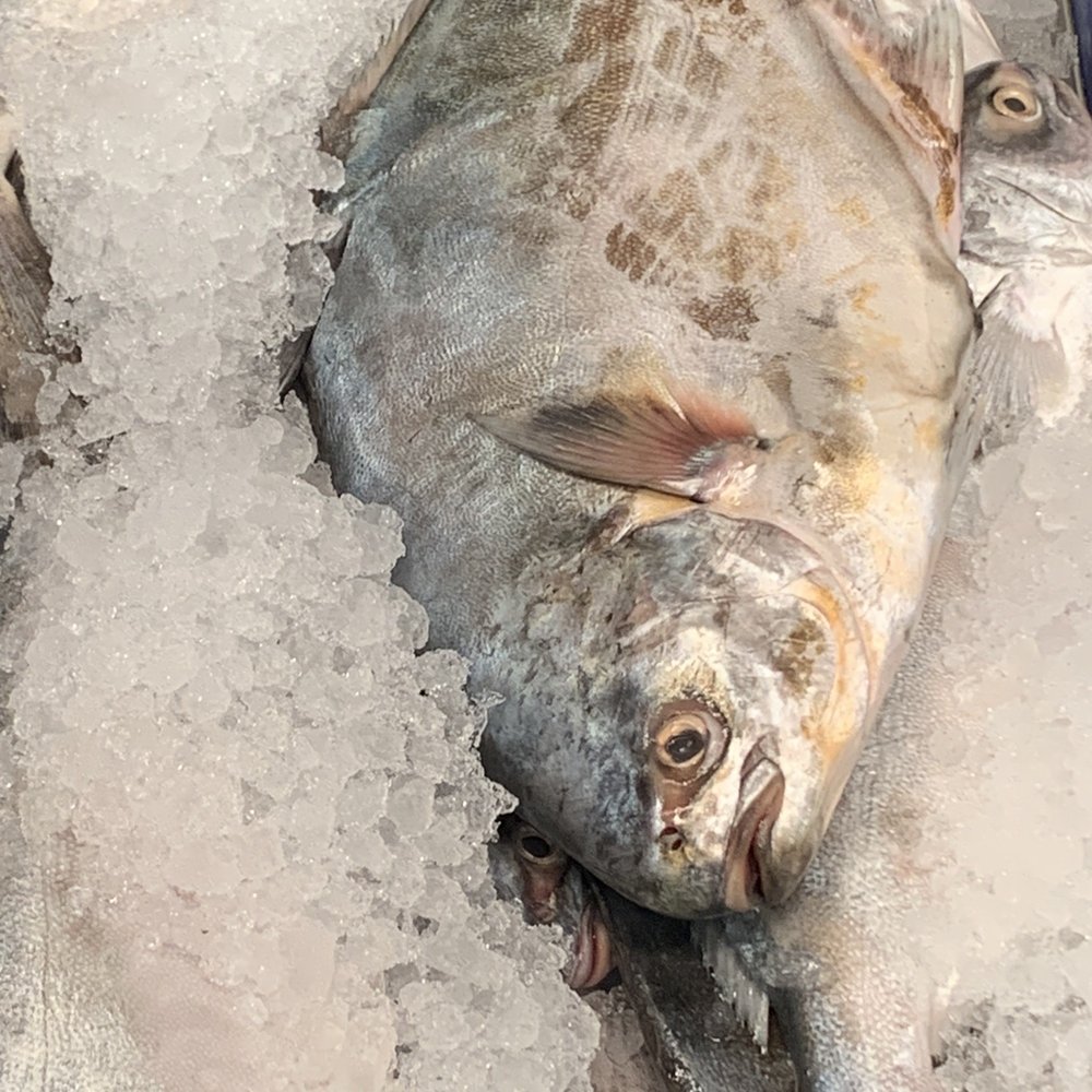 88 Ranch Market - fresh POMPANO - Seafood Markets Near Me - Oceanside, California