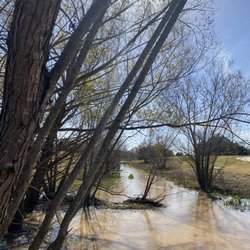 Arbor Park