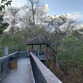 TALL CYPRESS NATURAL AREA - Updated January 2025 - 187 Photos &amp; 25 