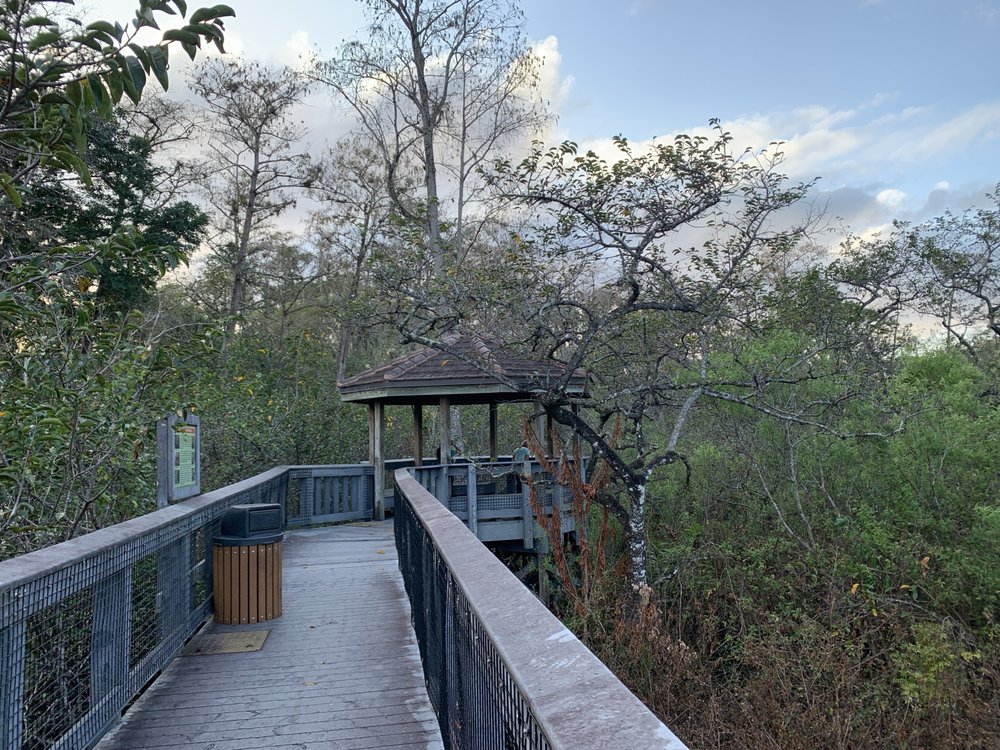 Tall Cypress Natural Area Image