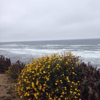 Moss Beach Distillery - Beautiful views - Seafood Near Me - Moss Beach, California Moss Beach Distillery - Beautiful views - Seafood Near Me - Moss Beach, California