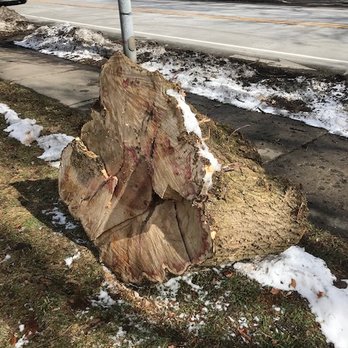 Eco Tree - Tree Services Near Me Eco Tree - Tree Services Near Me
