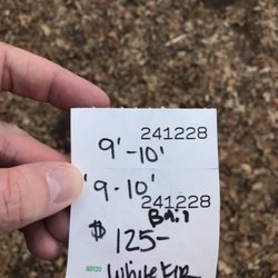 Hidden Springs Tree Farm - Our price tag, reasonable I thought, considering its also an experience.