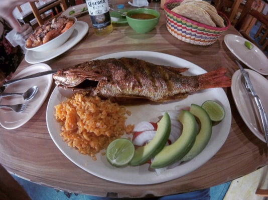 El Grillo Marinero by null