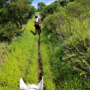 Ironwood Ranch - Horseback Riding Near Me - Lahaina, Hawaii