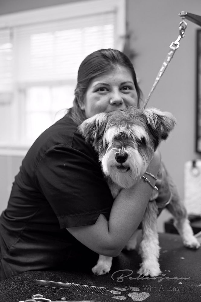 KRISTA’S FURRY TAILS GROOMING SALON Updated September 2024 42 Photos & 30 Reviews 2540