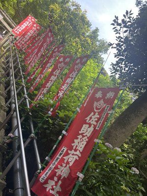 Sasuke Inari Shrine by null