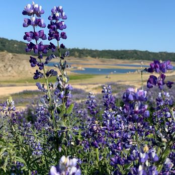 Folsom Lake - Recreation Centers Near Me - Pilot Hill, California