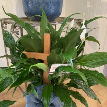 Florist of Covington - Love this hand made wooden cross placed inside the peace lily. Sweet touch. - Florists Near Me - Covington, Louisiana Florist of Covington - Love this hand made wooden cross placed inside the peace lily. Sweet touch. - Florists Near Me - Covington, Louisiana