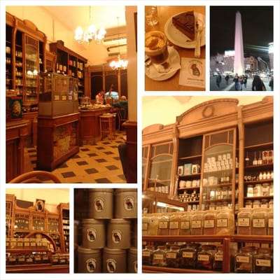 El Gato Negro by null