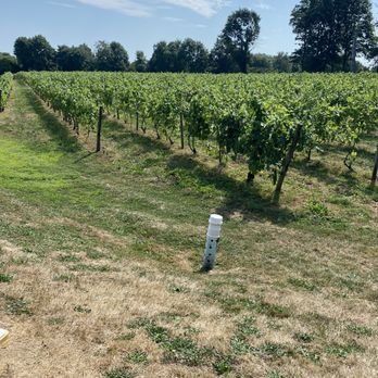 Greenvale Vineyards - Vineyards - Wineries Near Me - Portsmouth, Rhode Island