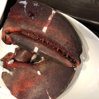 Day & Night Angus Beef King Crab - Giant lobster claws - Seafood Near Me - Toronto, Ontario Day & Night Angus Beef King Crab - Giant lobster claws - Seafood Near Me - Toronto, Ontario
