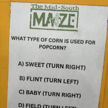 The Mid-South Maze Cornfield - Amusement Parks Near Me - Memphis, Tennessee The Mid-South Maze Cornfield - Amusement Parks Near Me - Memphis, Tennessee