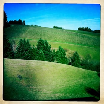 WillaKenzie Estate - Wineries Near Me - Yamhill, Oregon