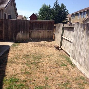 Charles Schwab's Tree Service - After - Tree Services Near Me - Modesto, California