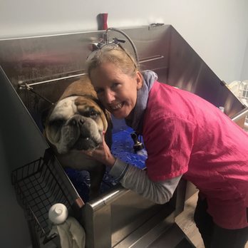 Furrbgon Dog Grooming - Pet Groomers Near Me Furrbgon Dog Grooming - Pet Groomers Near Me