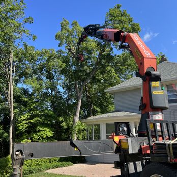 Malcarne Tree PHC & Landscape - Tree Services Near Me - Stanfordville, New York Malcarne Tree PHC & Landscape - Tree Services Near Me - Stanfordville, New York