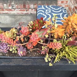 Planter with succulents out in front