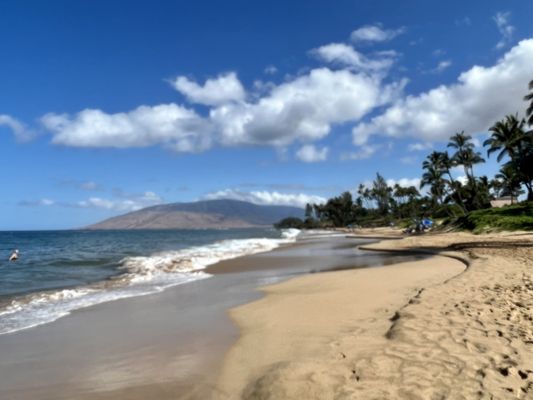 Kamaole Beach Park I by null