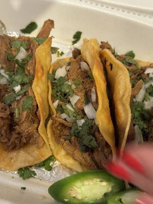 Late Night Tacos Philly by null