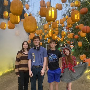Pumpkin Nights - Harry Potter - Festivals Near Me - Arlington, Texas Pumpkin Nights - Harry Potter - Festivals Near Me - Arlington, Texas