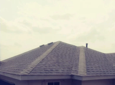 Slide of Expanded Roofing