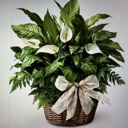Blossom Flowers - What I ordered