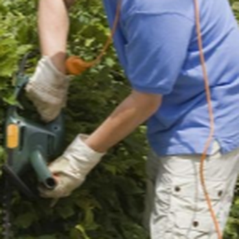 Alex Irrigation & Landscaping - a man trimming bushes - Landscaping Near Me - Carlos, Minnesota Alex Irrigation & Landscaping - a man trimming bushes - Landscaping Near Me - Carlos, Minnesota