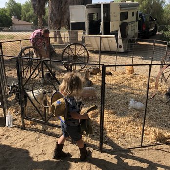 Itty Bitty Mobile Petting Zoo - Petting Zoos Near Me