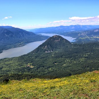 Dog Mountain Trail - Hiking Near Me - White Salmon, Washington Dog Mountain Trail - Hiking Near Me - White Salmon, Washington