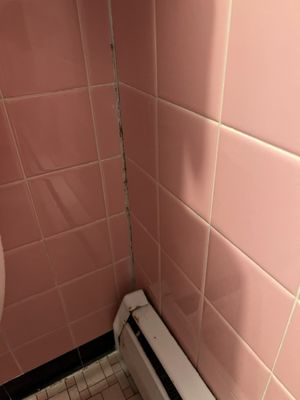 Starlite Motel by null