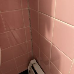 Star-Lite Motel - Disgusting grout