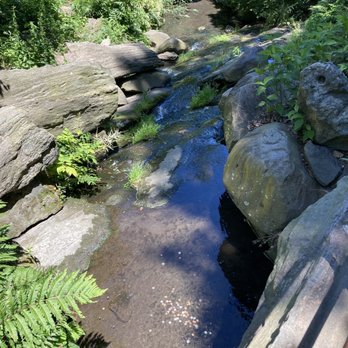 Central Park Conservancy - Parks Near Me - New York, New York Central Park Conservancy - Parks Near Me - New York, New York