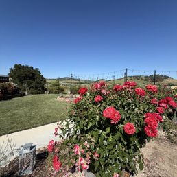 the grounds