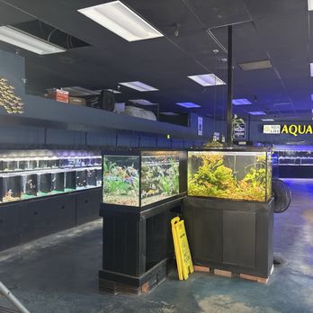 Aqua Life Aquarium - Aquarium Services Near Me - Rocklin, California