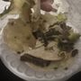 Photo of Saltillo Tortilleria