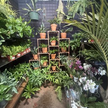 Jordan's Jungle - Nurseries & Gardening Near Me - Pawtucket, Rhode Island Jordan's Jungle - Nurseries & Gardening Near Me - Pawtucket, Rhode Island