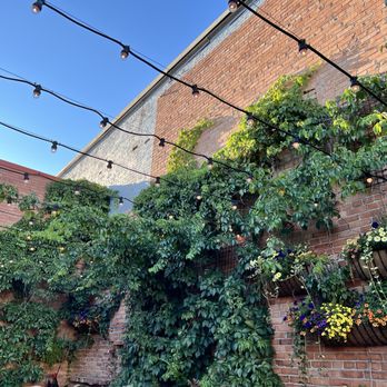 Plonk - Cocktail Bars Near Me - Missoula, Montana